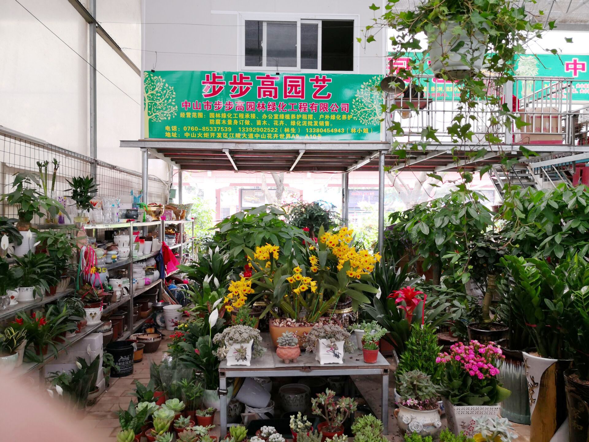 公司介紹